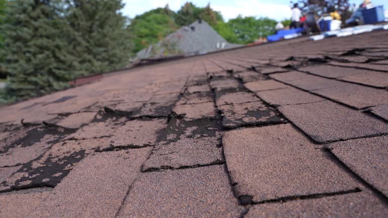 Best Gutter Installation and Repair  in Newman, CA