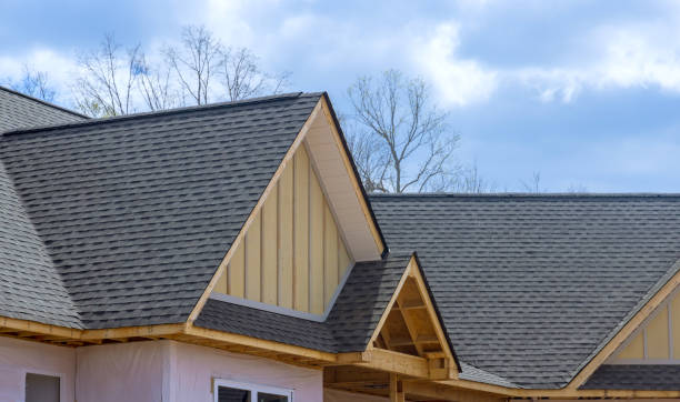 Best Solar Panel Roofing Installation  in Newman, CA